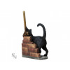 Magic Black Cat