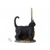 Magic Black Cat