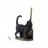 Magic Black Cat