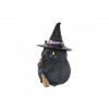 Lucky Black Cat