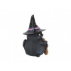 Lucky Black Cat
