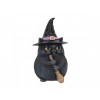 Lucky Black Cat