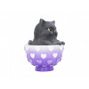 Cutiecat