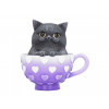 Cutiecat