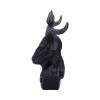BUSTO
