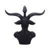 BUSTO