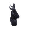 BUSTO