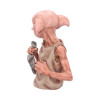 Busto Dobby