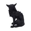 salem