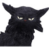 salem