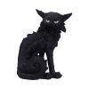 salem