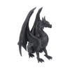 drago
