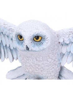 hedwig