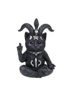 gatto