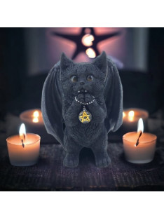 gatto nero che prega
