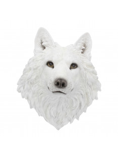 Lupo bianco