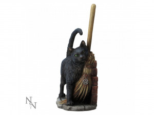 Magic Black Cat