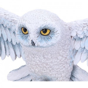 hedwig