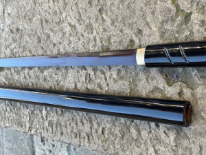 samurai cieco