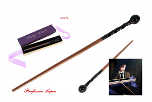 PROF. LUPIN 