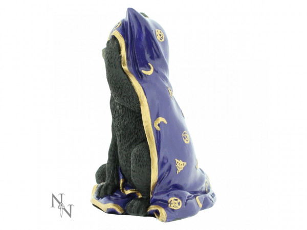 gatto coperta viola