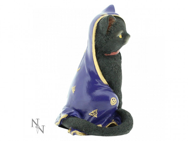 gatto coperta viola