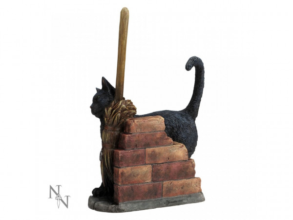 Magic Black Cat
