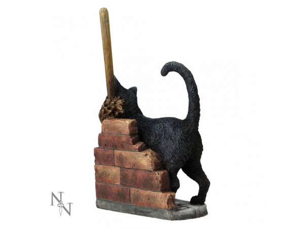 Magic Black Cat