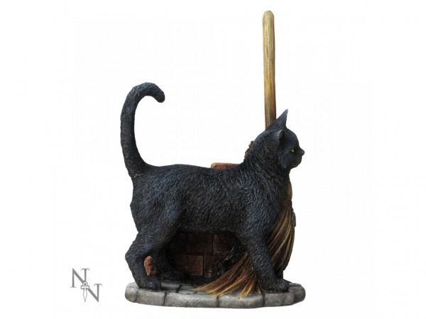 Magic Black Cat