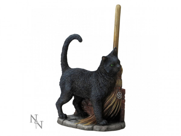 Magic Black Cat