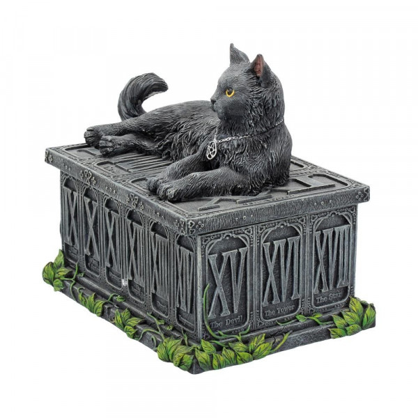 Portatarocchi con Gatto 