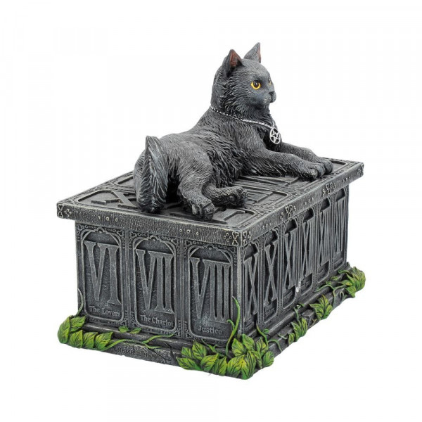 Portatarocchi con Gatto 