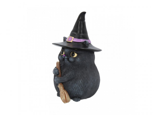 Lucky Black Cat