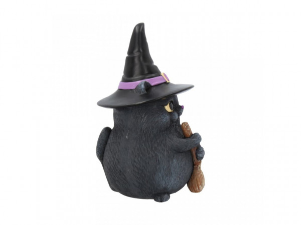 Lucky Black Cat