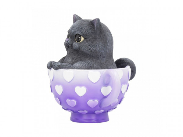 Cutiecat