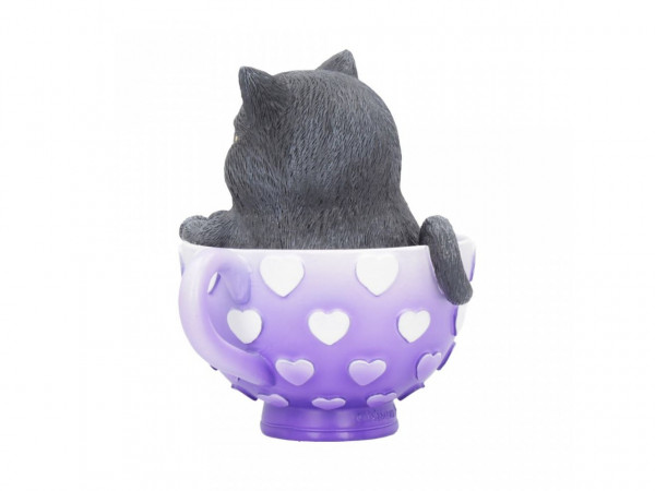 Cutiecat