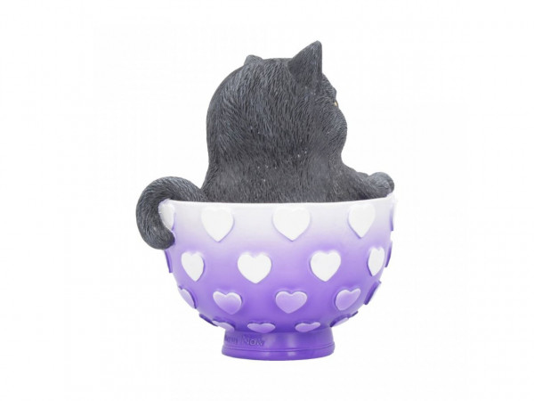 Cutiecat