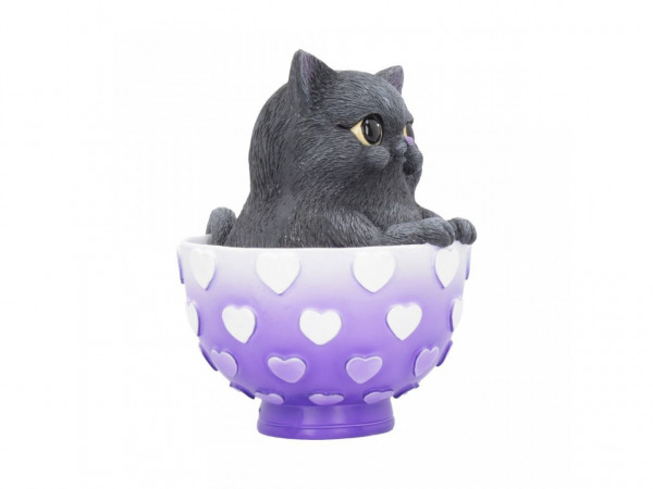 Cutiecat