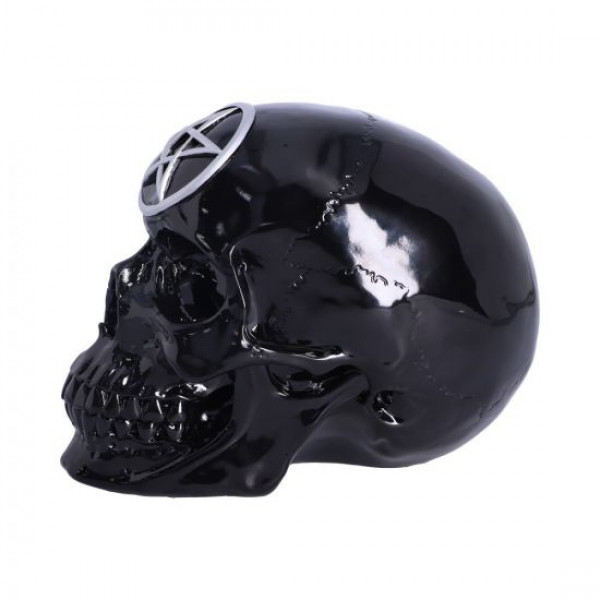 Black Magic 19.5cm
