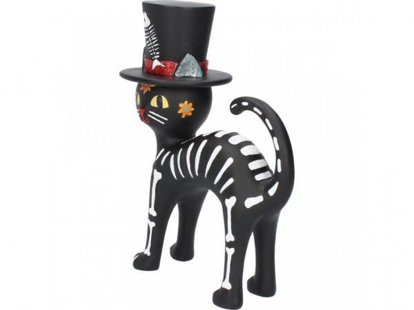 Mr Cat
