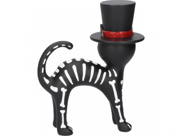 Mr Cat