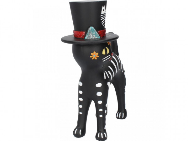 Mr Cat