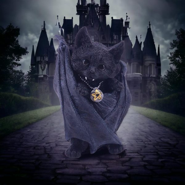 gatto