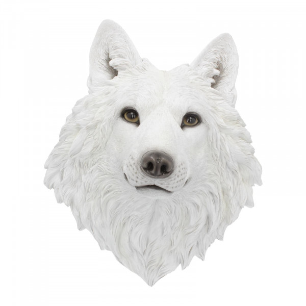 Lupo bianco
